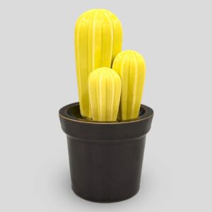 Cactus Classic - Green - immagine di copertina