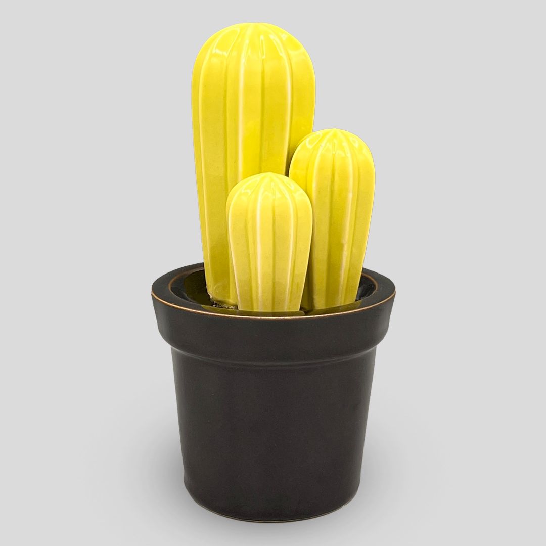 Cactus Classic - Green - immagine di copertina