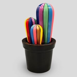 Cactus Color Artist - Stripes - immagine di copertina