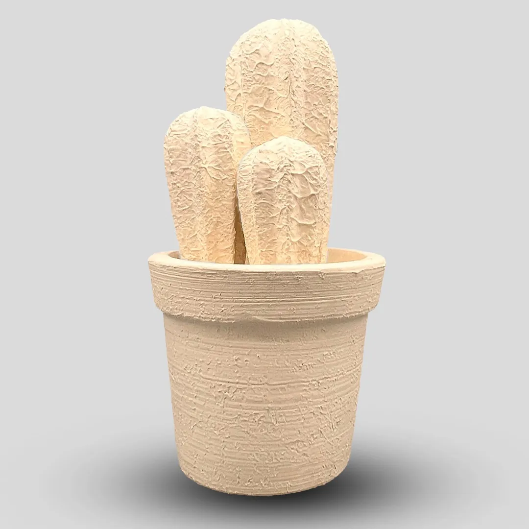 Cactus Classic - immagine 2