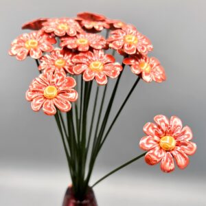 Fiori Margherita Premium Pearl - Box 10pz