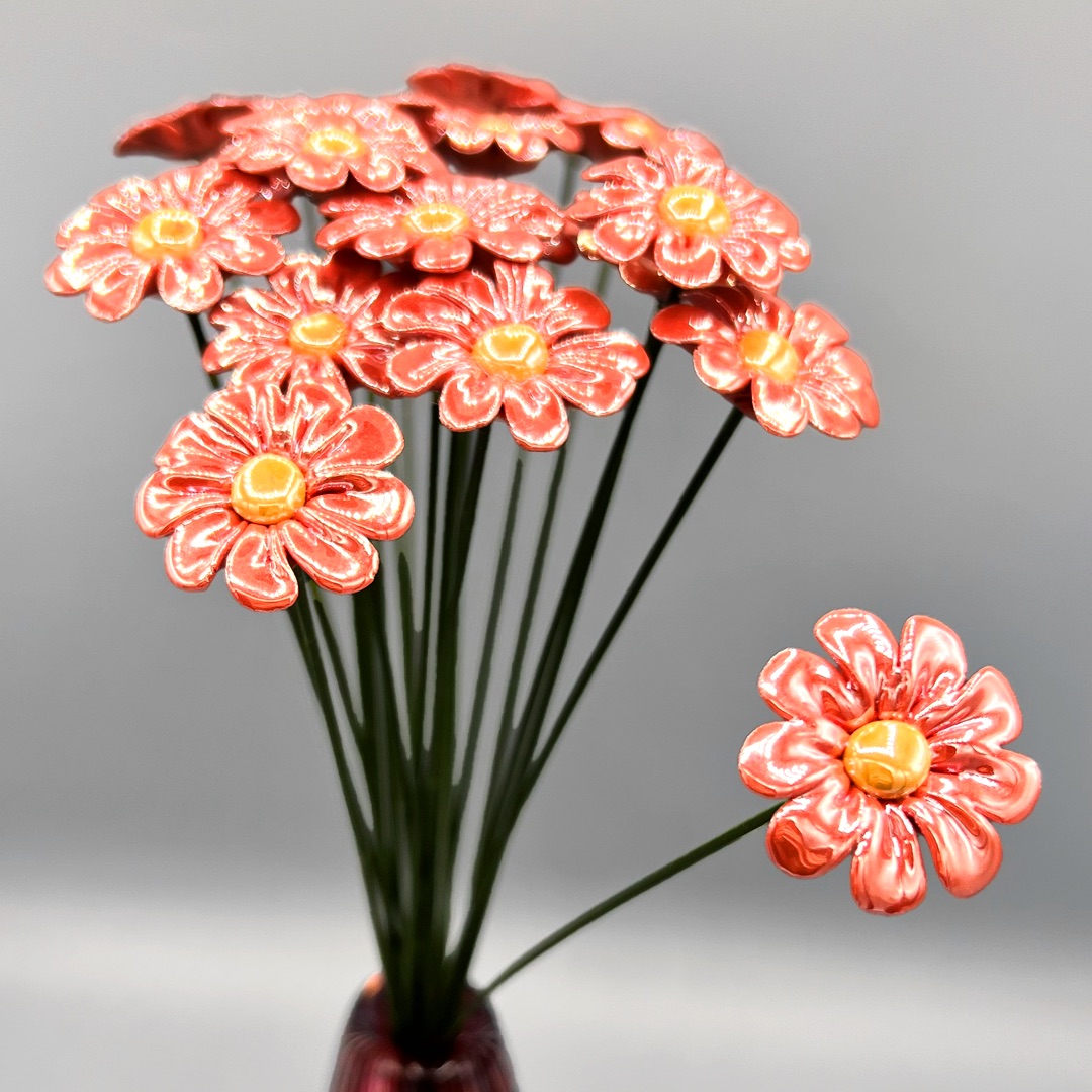 Fiori Margherita Premium Pearl - Box 10pz