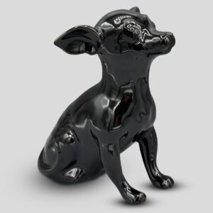 Chihuahua Classic